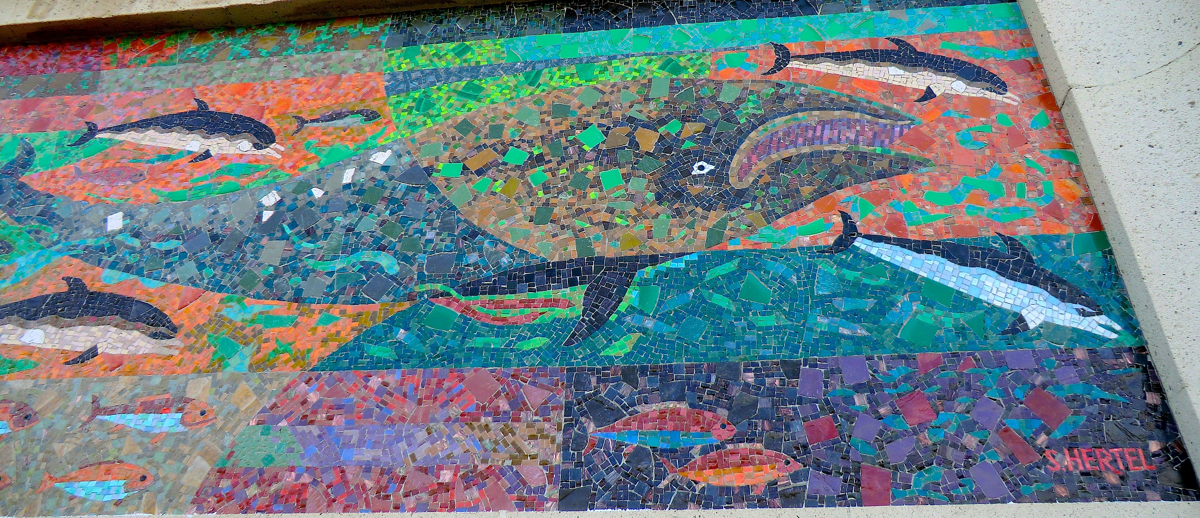 Hertel, La Mesa whale detail. Photo courtesy Andrea Flint-Gogek.
